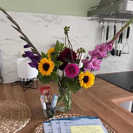 Haus Willi Von Tinyhaus * Steinhude