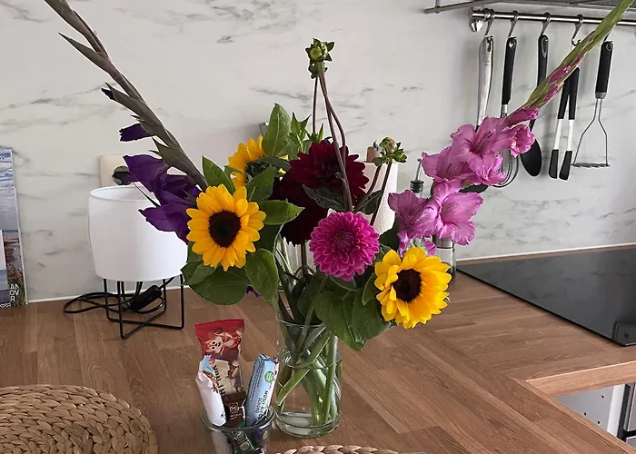 Haus Willi Von Tinyhaus * Steinhude